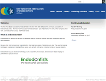 Tablet Screenshot of nysendo.org
